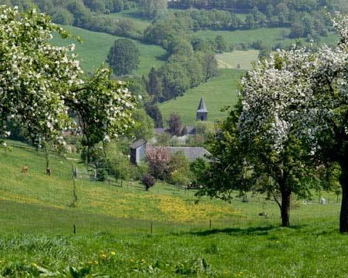 Hotel Kreutzer Heijenrath エクステリア 写真